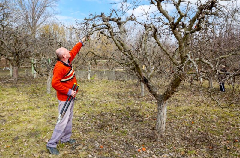 Sređivanje Voćnjaka
