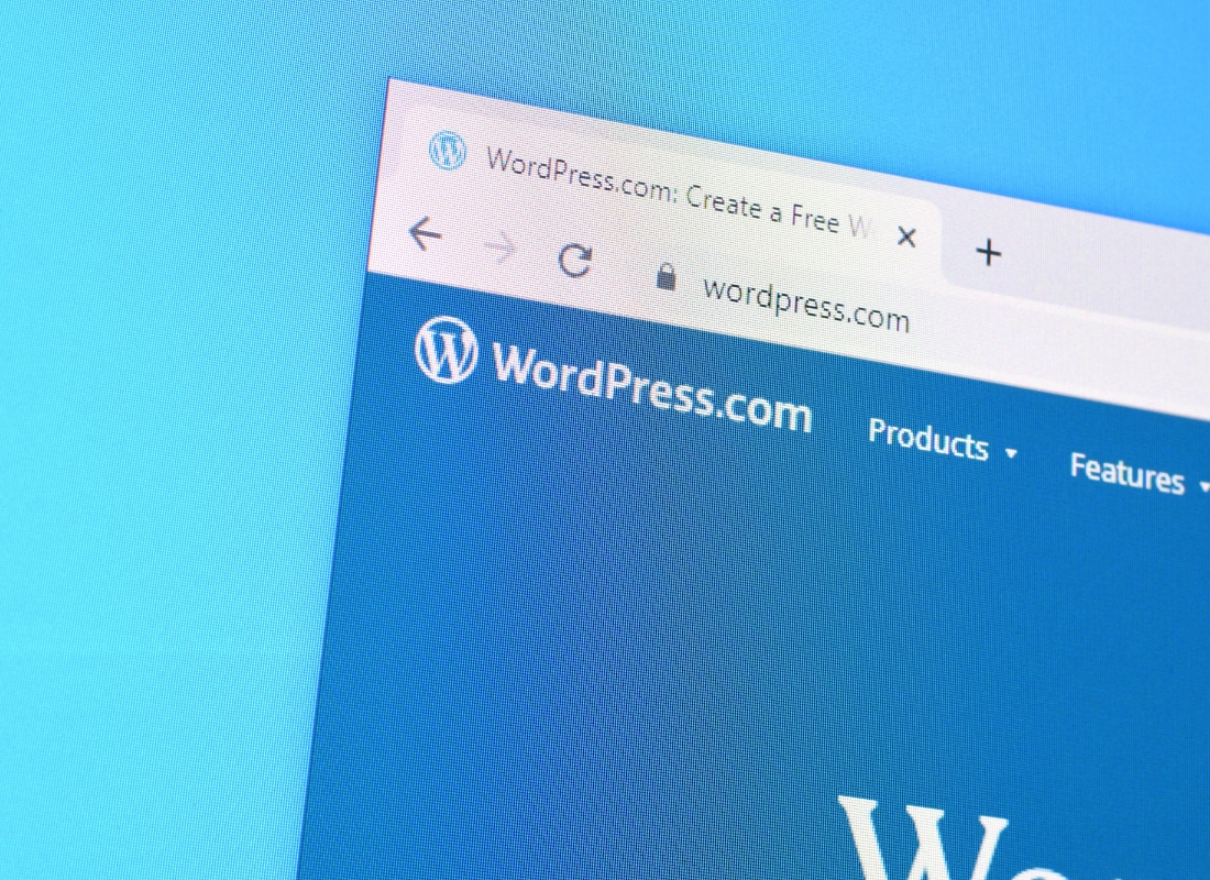 prikaz wordpress sajta